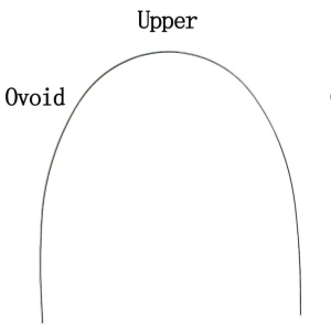 Дуга нитиноловая супер-эластичная NiTi овоидная форма 19х25 в/ч фото в интернет-магазине Дентаурум