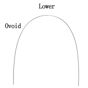 ovoid lower