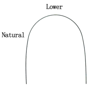 Дуга нитиноловая термоактивная натуральная форма 016 н/ч фото в интернет-магазине Дентаурум