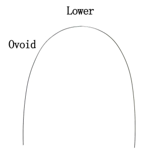 Дуга нитиноловая супер-эластичная NiTi овоидная форма 016 н/ч фото в интернет-магазине Дентаурум