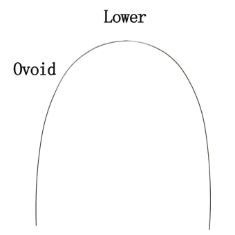 Дуга стальная овоидная форма 21х25 н/ч фото в интернет-магазине Дентаурум