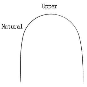 Дуга нитиноловая супер-эластичная NiTi натуральная форма 18х18 в/ч фото в интернет-магазине Дентаурум