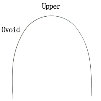 Дуга нитиноловая супер-эластичная NiTi овоидная форма 014 в/ч фото в интернет-магазине Дентаурум