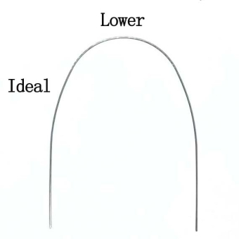 Дуга нитиноловая супер-эластичная NiTi идеальная форма 21х25 н/ч фото в интернет-магазине Дентаурум