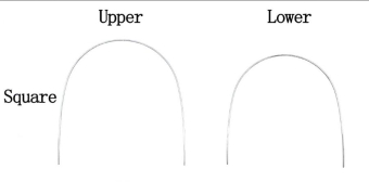 Дуга нитиноловая супер-эластичная NiTi широкая форма 012 в/ч фото в интернет-магазине Дентаурум