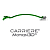 Аппарат Carriere Motion 3D Colors 2 Class Green для коррекции Класса 2, набор, длина 27 мм фото в интернет-магазине Дентаурум