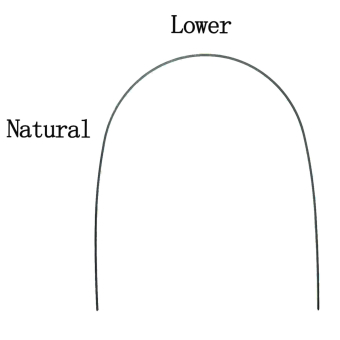 Дуга нитиноловая термоактивная натуральная форма 014 н/ч фото в интернет-магазине Дентаурум