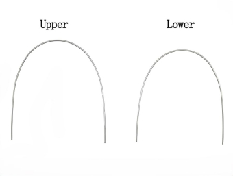 Дуга нитиноловая супер-эластичная NiTi овоидная форма 18х18 в/ч фото в интернет-магазине Дентаурум